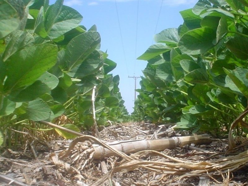 Hyf4_hRmx_1256x620.jpg