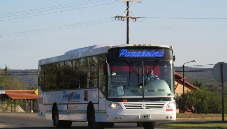dif-panaholma-colectivo.jpg