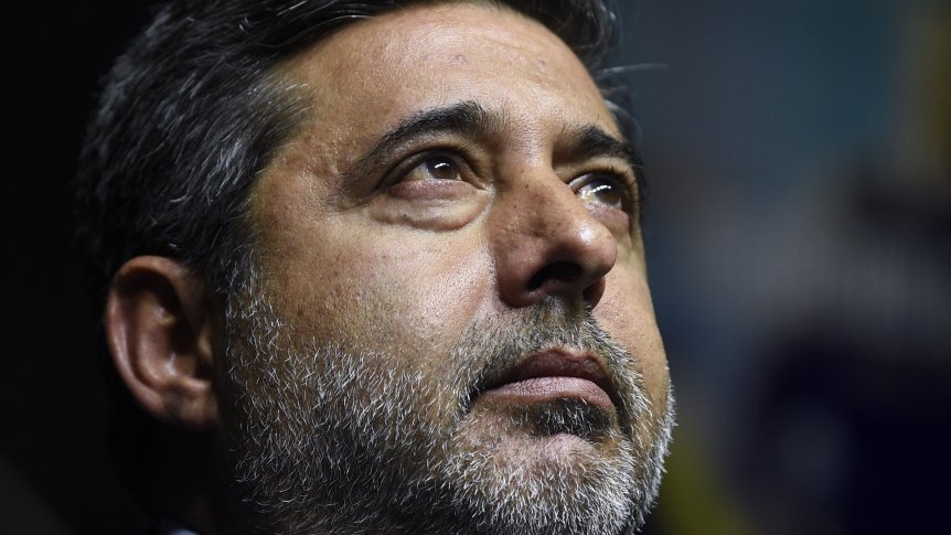 angelici.jpg