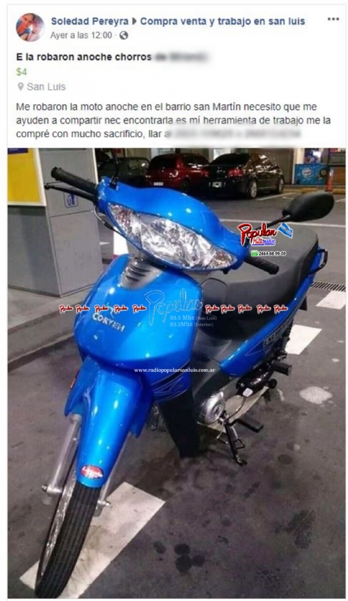 tonto.JPG
