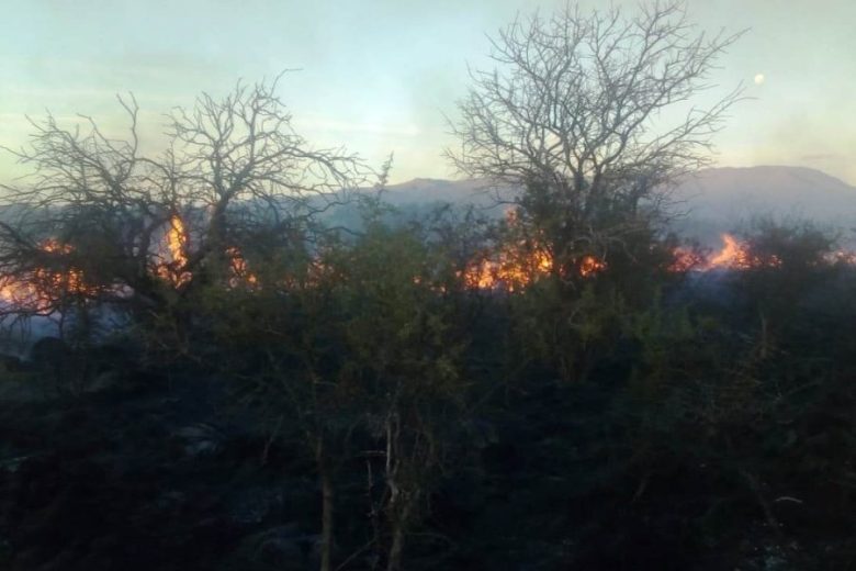 Incendio-San-José-del-Morro-4.jpg