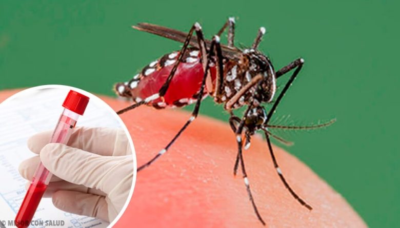 Dengue.jpg