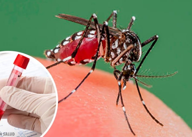 Dengue.jpg