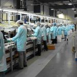 industria_1.jpg_1956802537.jpg