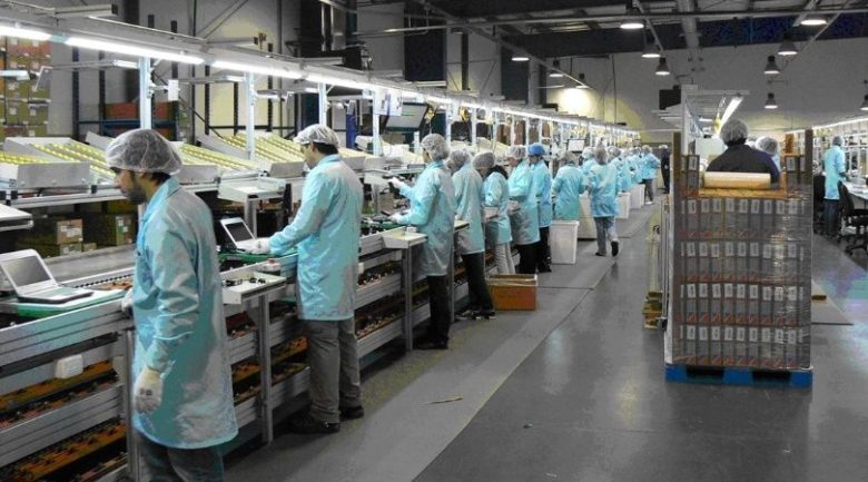 industria_1.jpg_1956802537.jpg