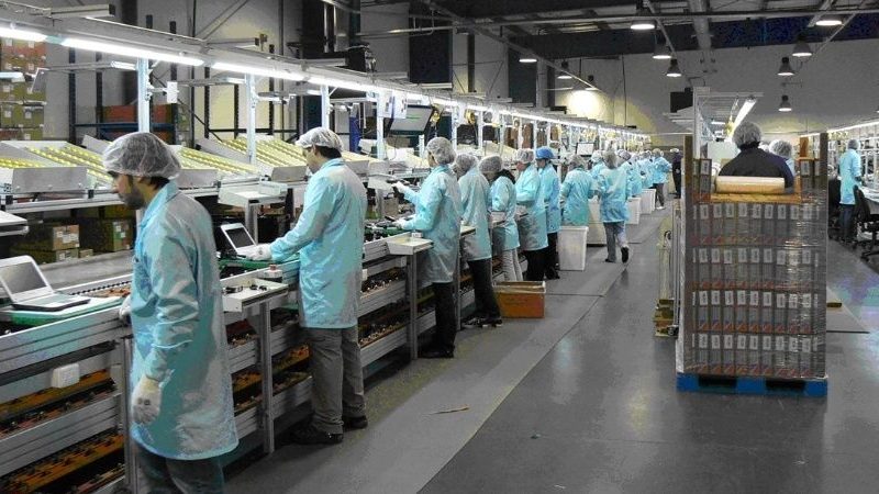 industria_1.jpg_1956802537.jpg