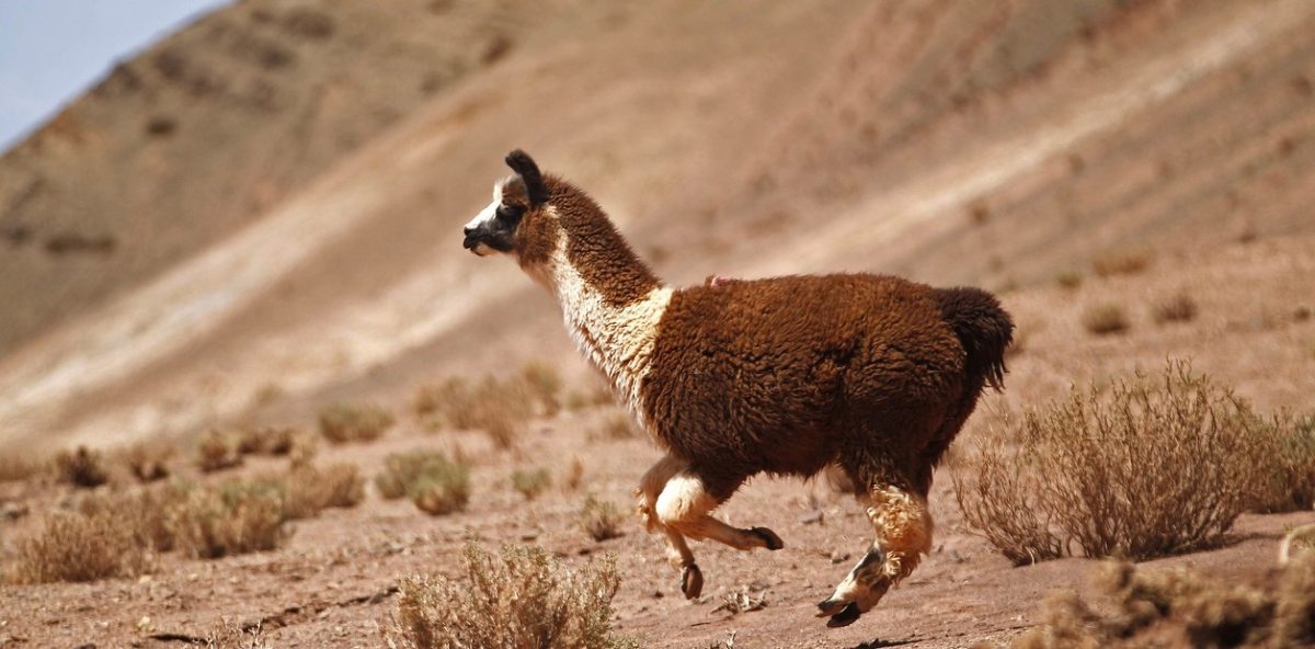 nA2_Zd0GV_1256x620__1.jpg