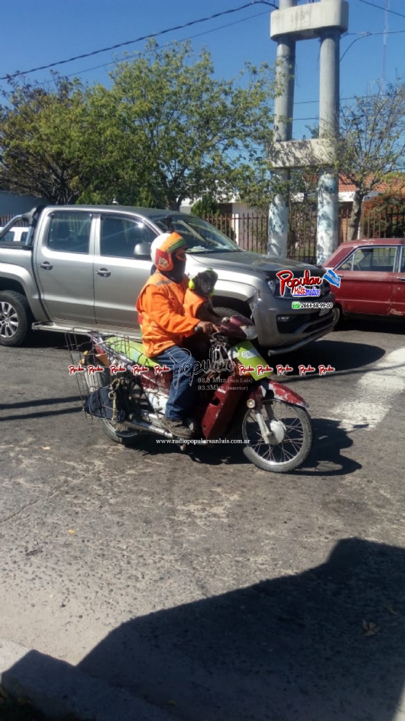 IMG-20190329-WA0251.jpg