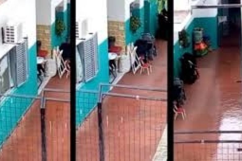 descarga (4).jpg
