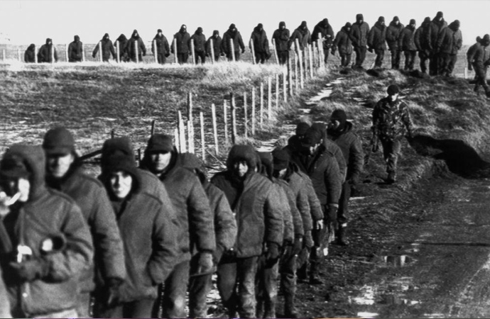 malvinas.jpg