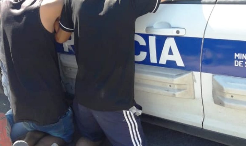Sin títkjlb,mulo.jpg