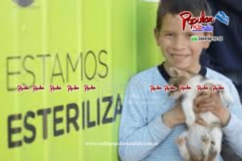 20190503015303fdb0d599afb9f4adfddaa868e74e3929.jpg