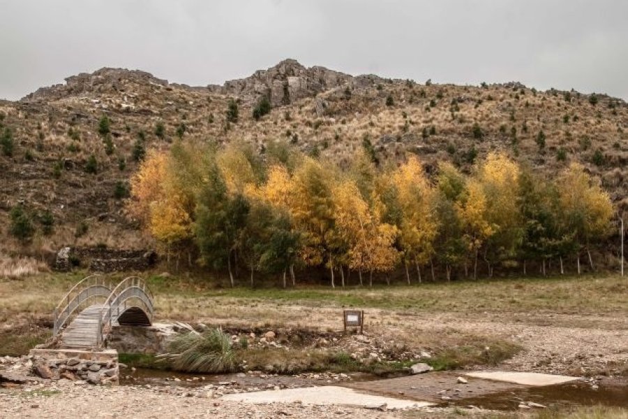 otoño-clima-630x420.jpg