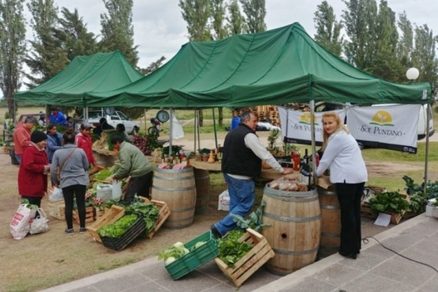 feria-sol-puntano.jpg