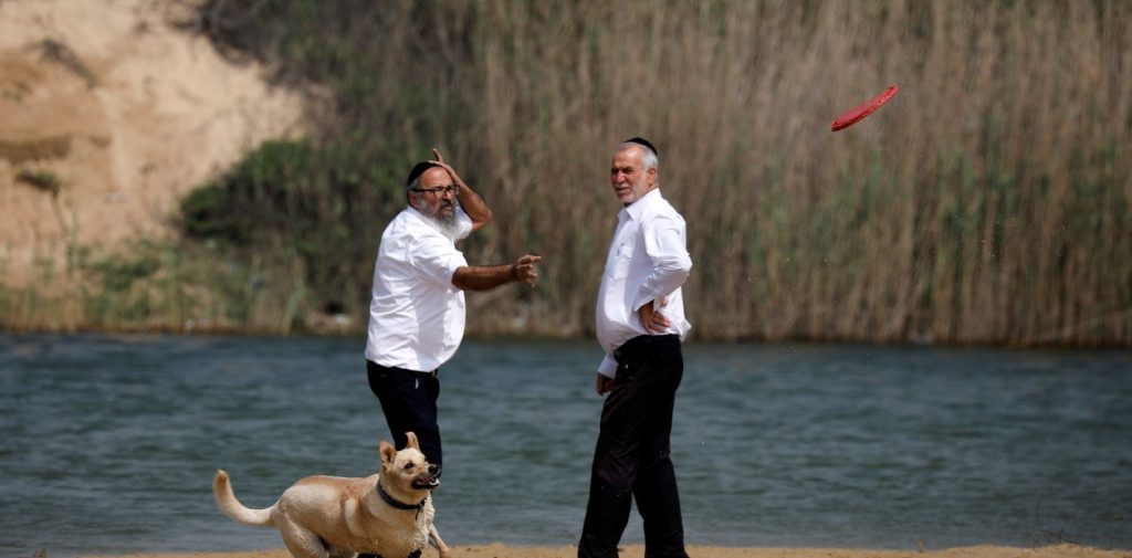 na73dkYYy_1256x620__1.jpg