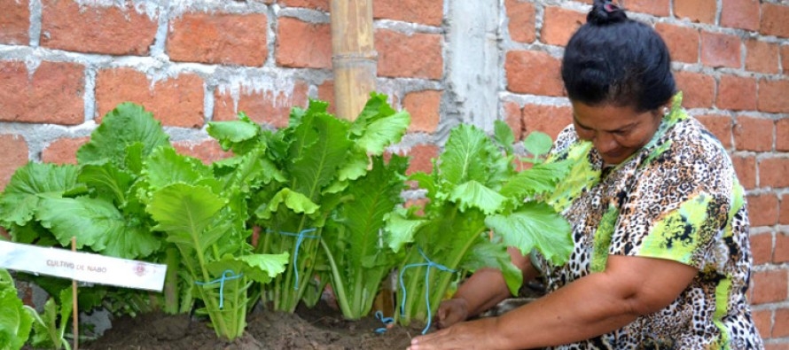 huerta-familiar-890x395.jpg