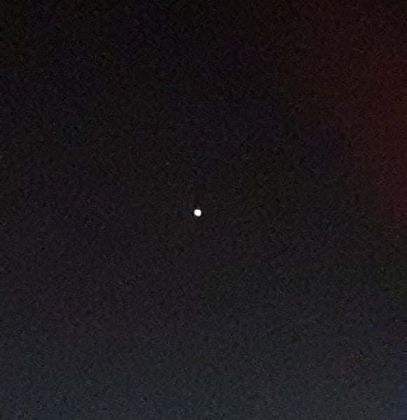 60060990_2272968932779478_3610423820541755392_n.jpg