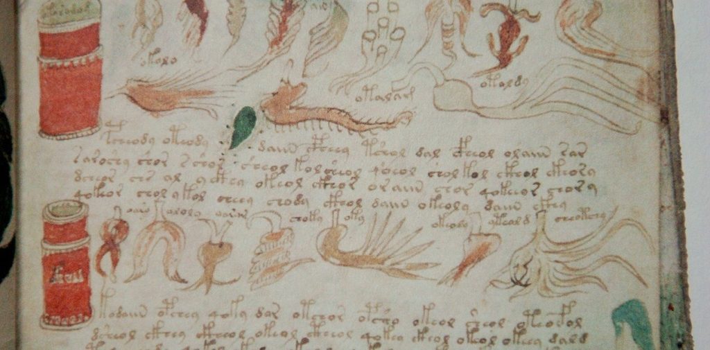 reproduccion-del-manuscrito-voynich___HyF-uMCSf_1256x620__1.jpg