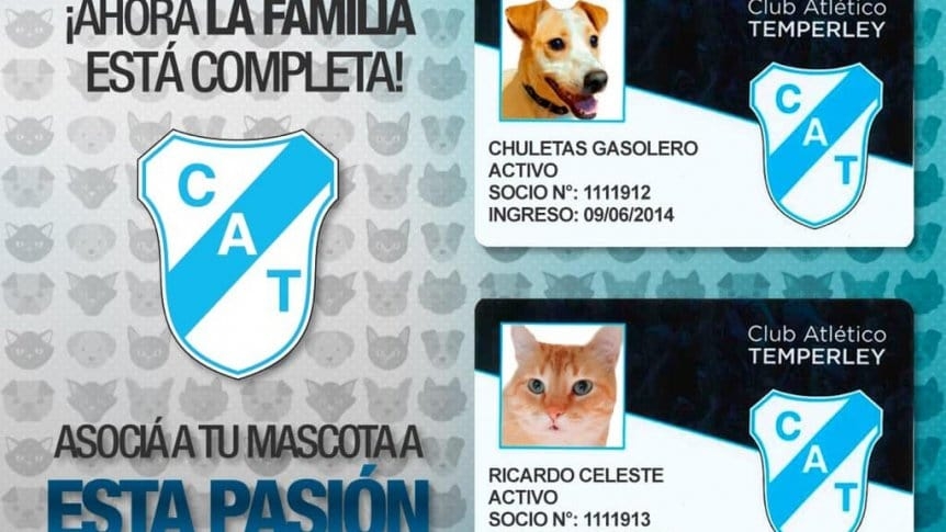 mascota-temperley_862x485.jpg