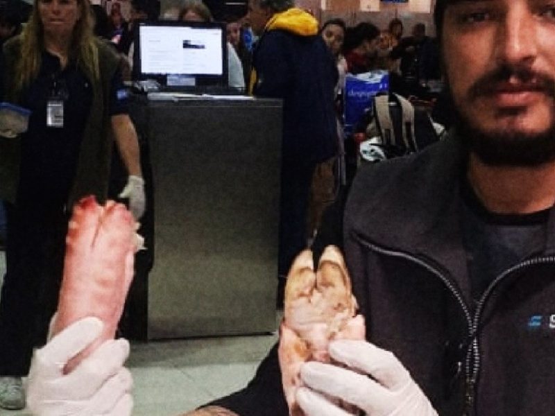 se-decomiso-6-patas-de___W4SUyWT5C_1256x620__1.jpg