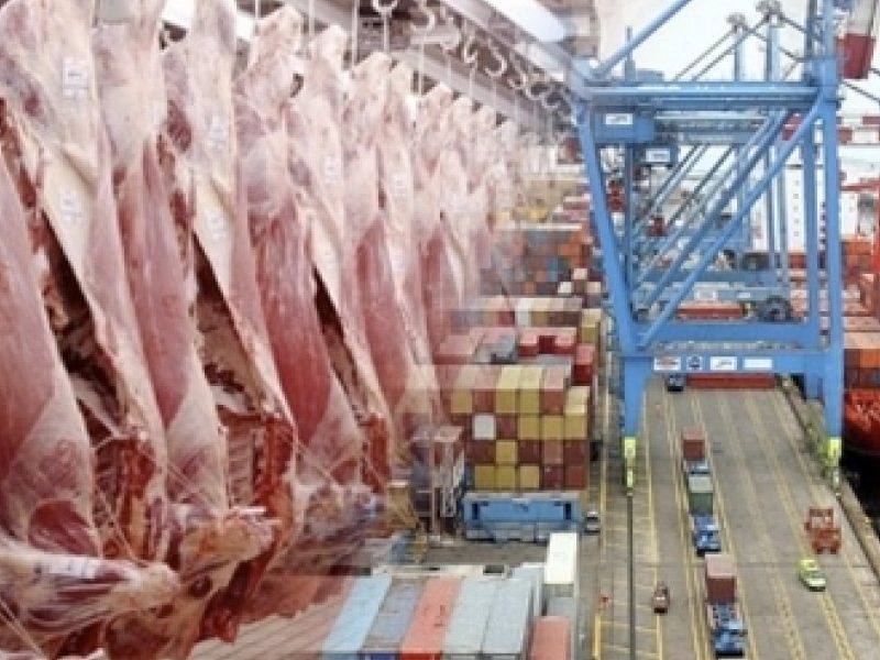 exportaciones.jpg