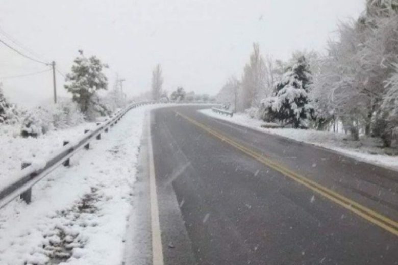nevada_x3x.jpg_241676493.jpg