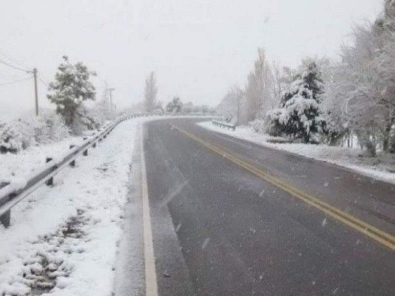nevada_x3x.jpg_241676493.jpg