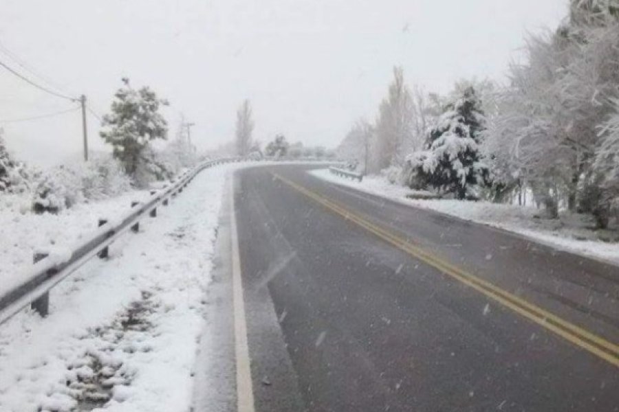 nevada_x3x.jpg_241676493.jpg