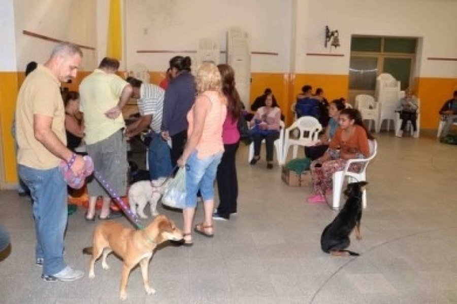 perro.jpg
