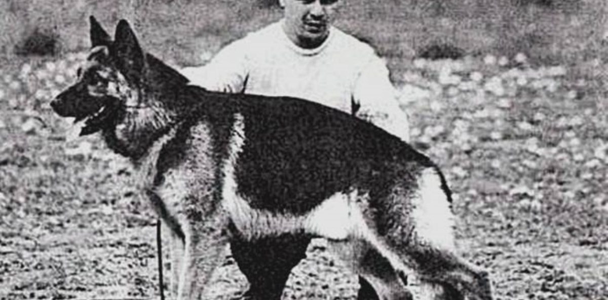 el-dia-nacional-del-perro___SJsRTfJzW_1256x620.jpg