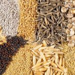 SEMILLAS_AGRICOLAS-e1522948789348.jpg