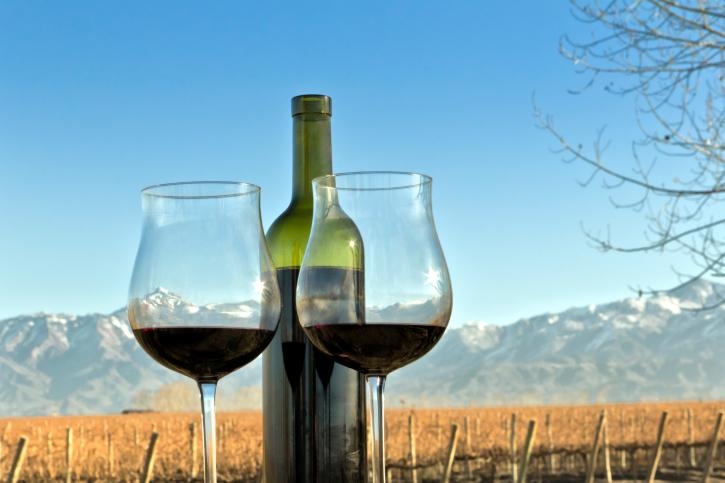 vinos-argentinos-recomendados-02.jpg