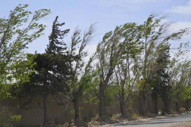 viento-630x417-630x417.jpg