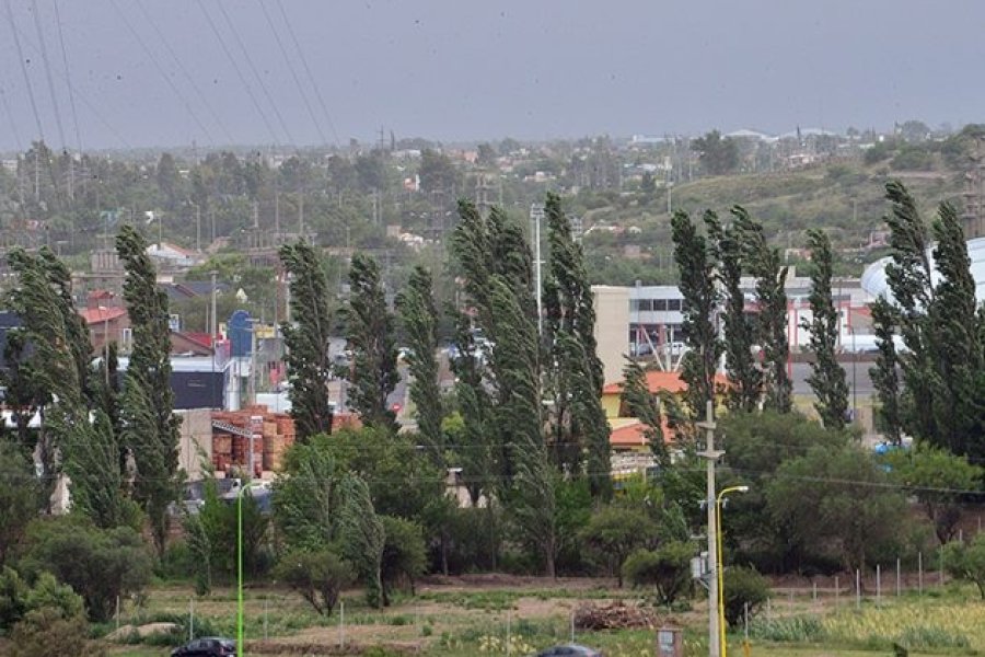 MLA_6374-630x426.jpg