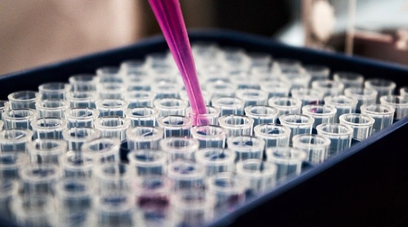 lab_1.jpg_1956802537.jpg