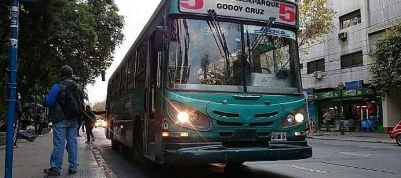 colectivo-890x395_c.jpg