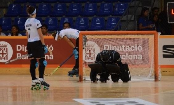 patines.JPG