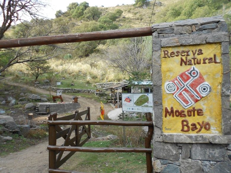 Mogote-Bayo.jpg