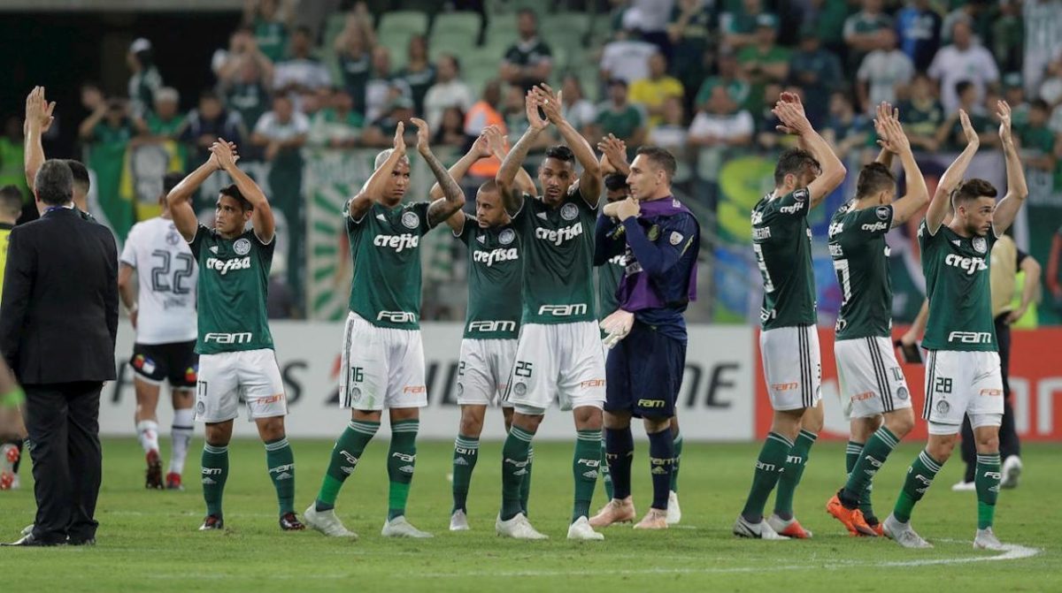 palmeiras.jpg