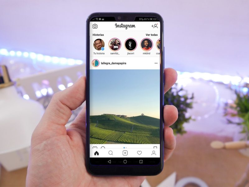 INSTAGRAM.jpg