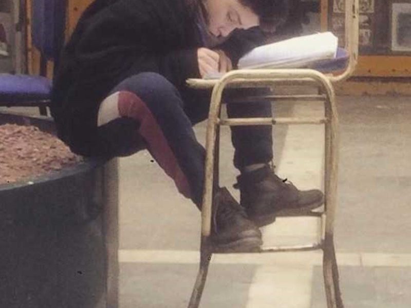 angelo-concentradisimo-esta-estudiando-ingles___WlvB6gN1n_1256x620__1.jpg