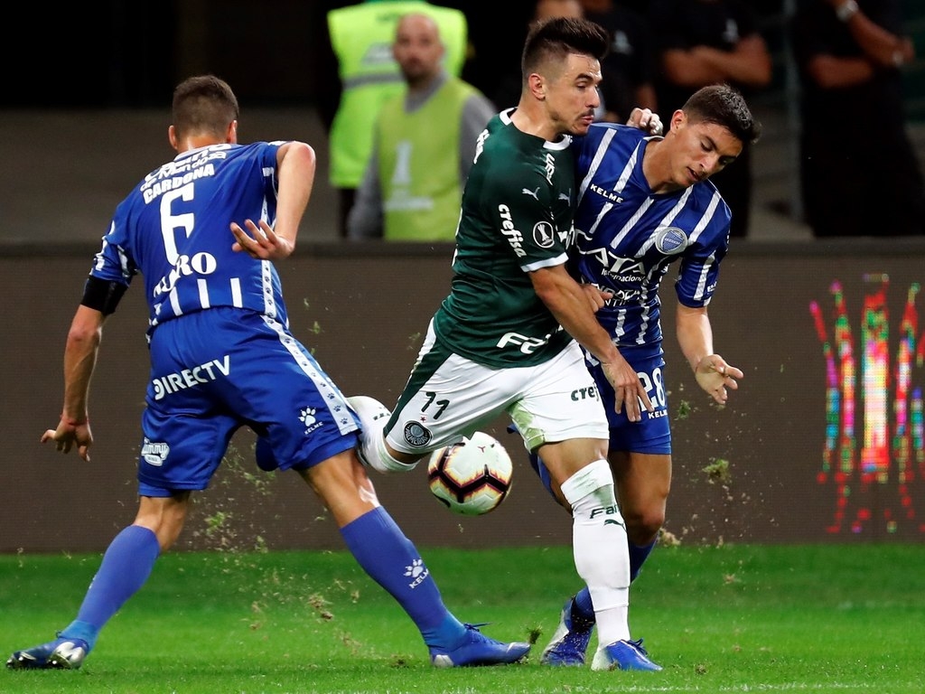 1564538574739GodoyPalmeiras.jpg