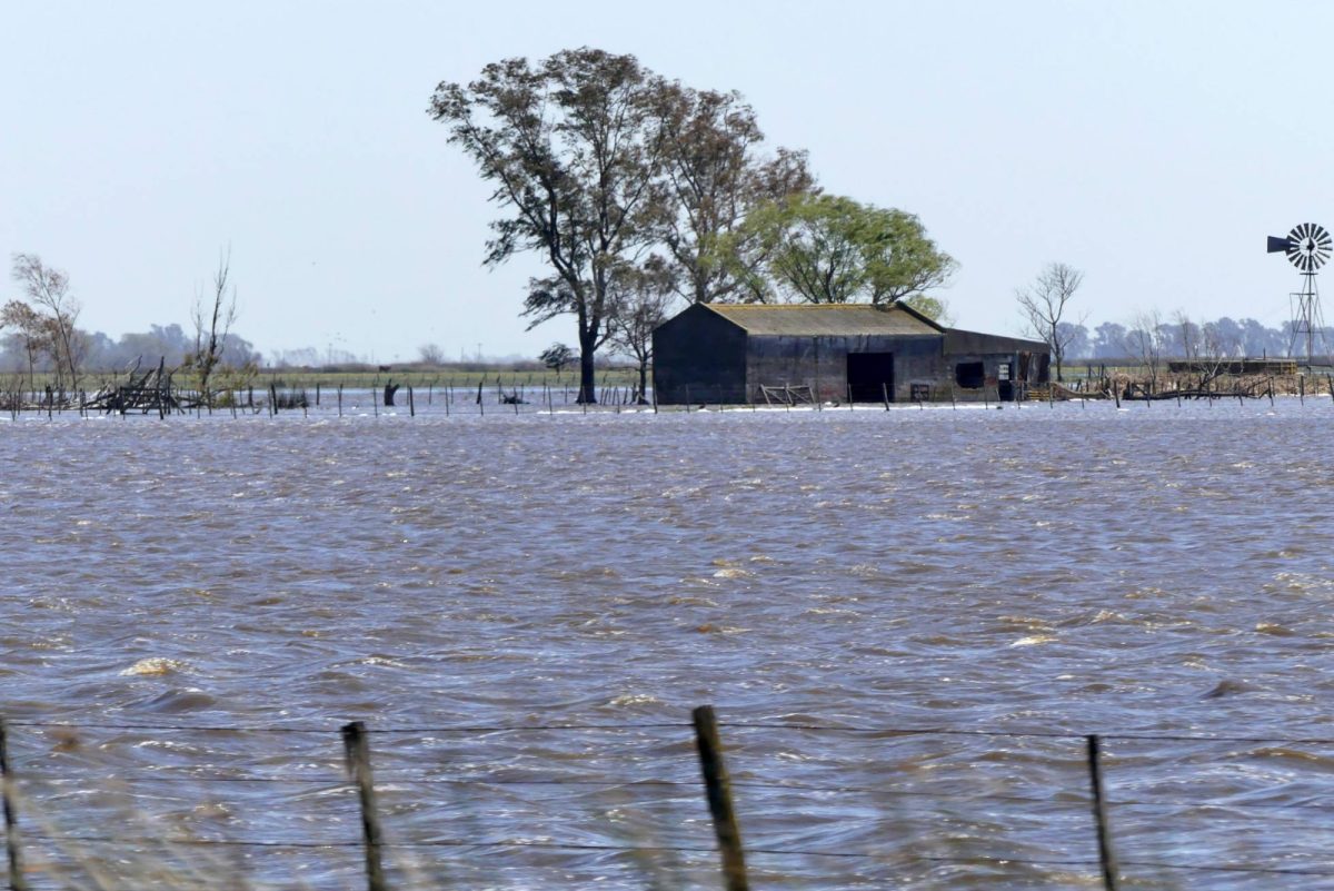 1506446322_626950_1506449535_noticia_normal_recorte1.jpg