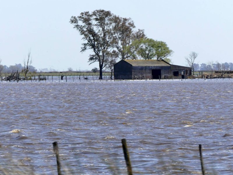1506446322_626950_1506449535_noticia_normal_recorte1.jpg