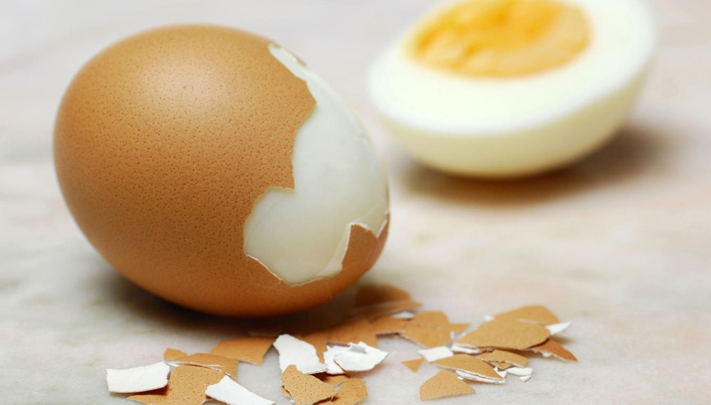 salmonella1.jpg