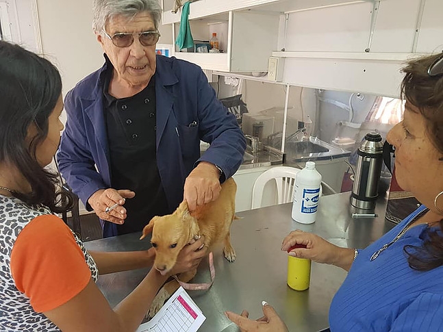 Sin dafasdftítulo.jpg