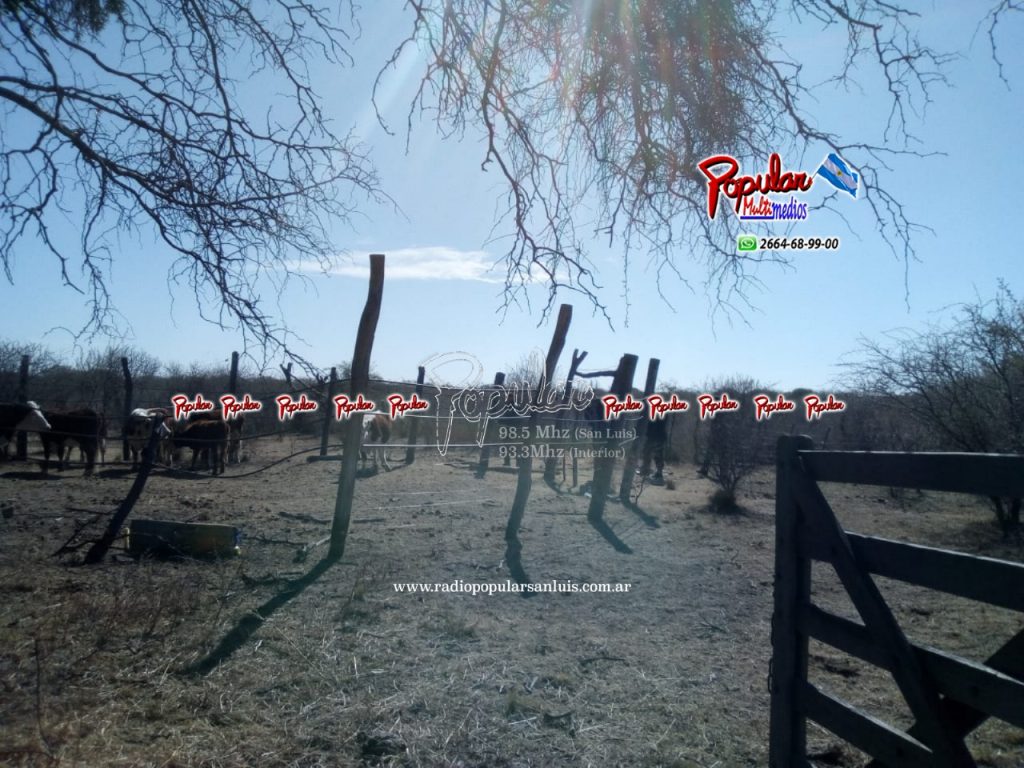 6857d2ed-fb18-4cf9-b2a9-95dc95487e3b.jpg