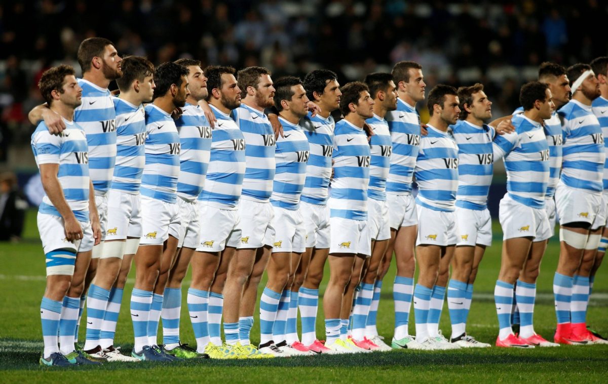 pumas.jpg