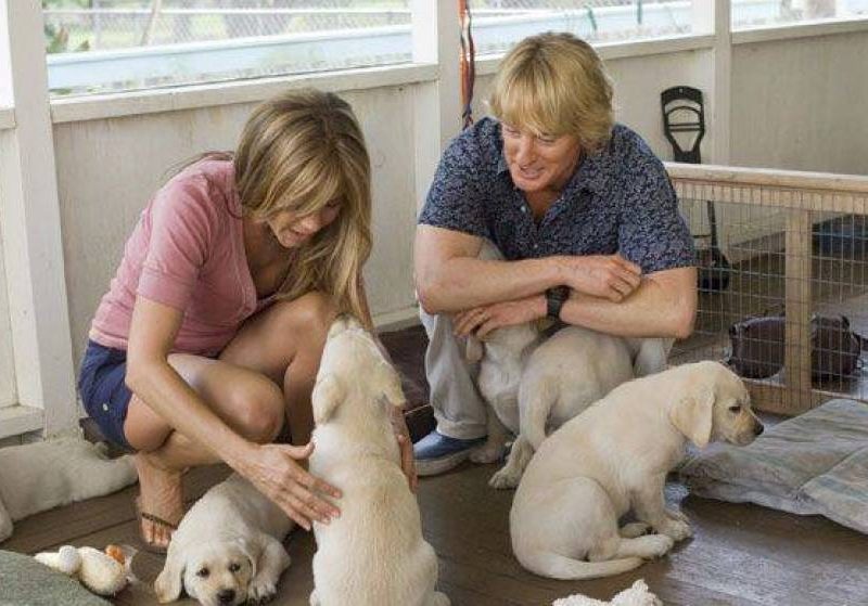 por-que-la-gente-con-perros-es-mas-feliz-que-la-gente-con-gatos.jpg