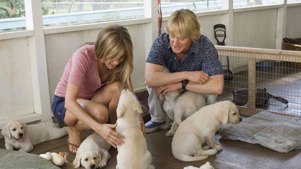por-que-la-gente-con-perros-es-mas-feliz-que-la-gente-con-gatos.jpg